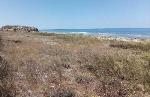 pénates océanes - Foto 23