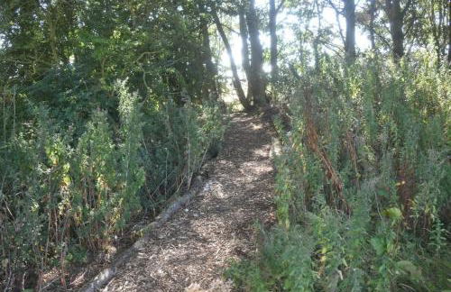 Wren Cottage, Howdales - Foto 30