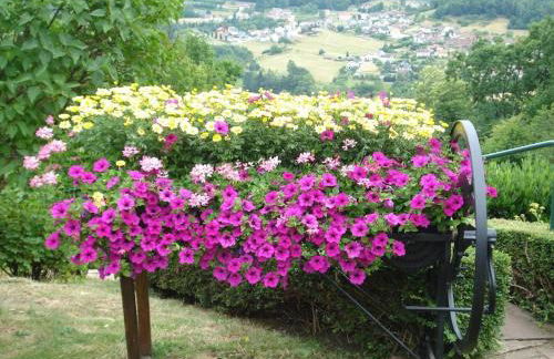 Maison charmante avec jardin à Haselbourg - Vue sur montagnes - Foto 26