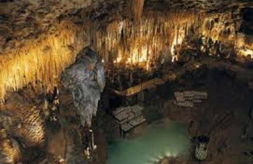 Les pruniers de la cipière - Foto 78