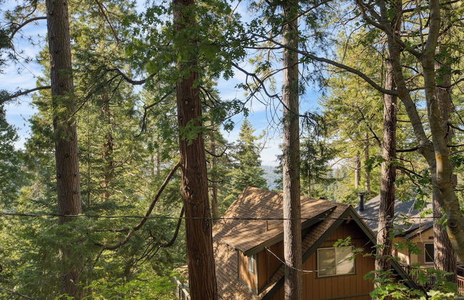 A-frame Retreat Chic and Modern Forest Views, Hammock, Outdoor Dining, Decks - Foto 38