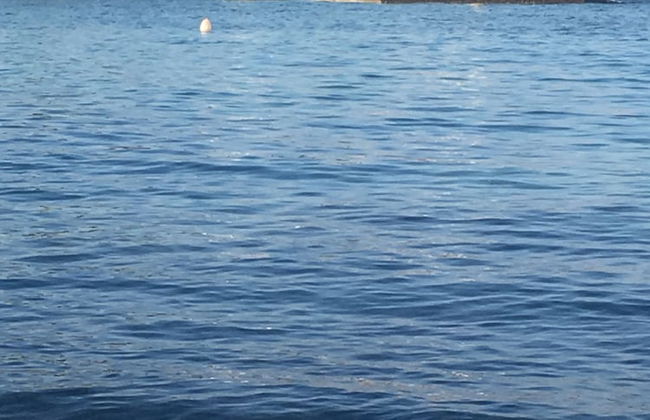 Flower House - Photo 32