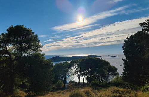 MASLINA Rogoznica NEW VILA - Foto 41