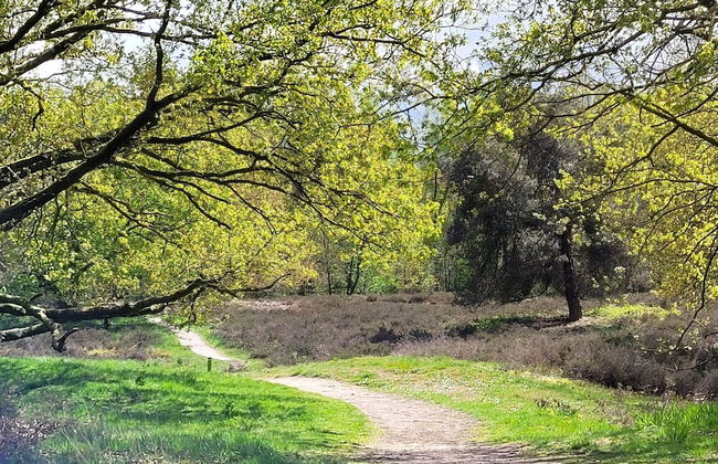 Villa in Overloon Near War Museum - Foto 12