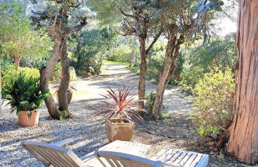 BASTIDE PRESQU ILE DE GIENS SUPERBE VUE MER PISCINE - Photo 49