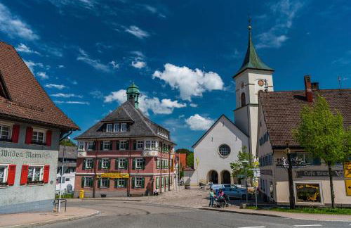 Fewo "Sonnenwinkel" C37 mit Südbalkon im Haus Feldbergblick, Lenzkirch, Innenpool, Sauna - Foto 23