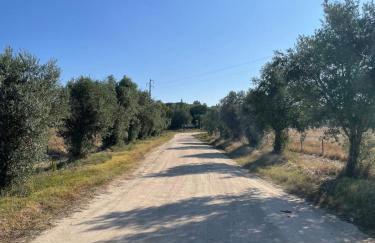 Monte de Bordalos - Foto 71