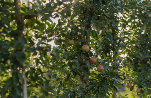 Uroczysko nad Pilicą Sauna & Balia - Foto 59