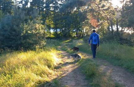 Widny Jaś zaprasza z psem nad jezioro na Kaszubach - Foto 29