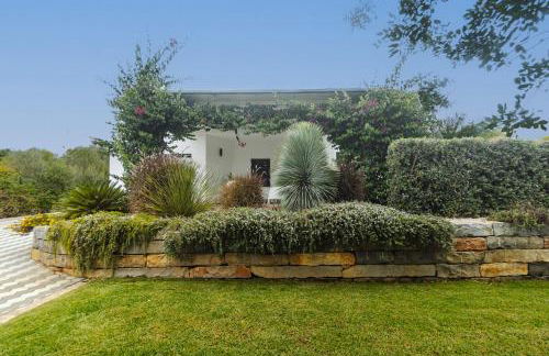 Villa Olivia - NEW! - Photo 18