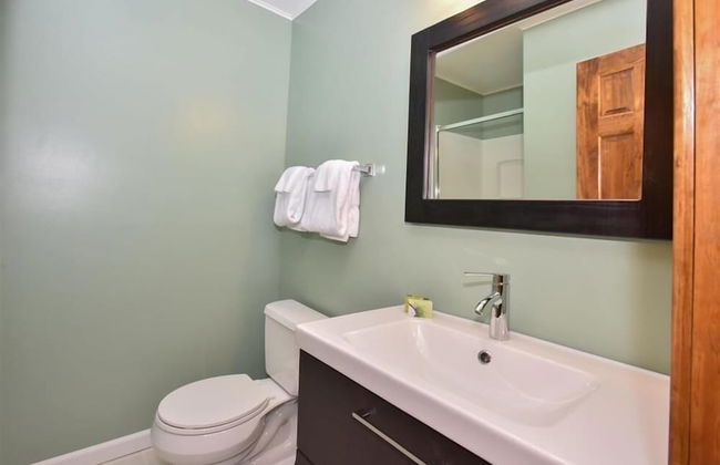 Seven Springs 4 BR Deluxe Townhouse, Sleeps 11! by RedAwning - Foto 9