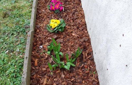 Charmant gîte proche Château Chambord avec jardin et parking - FR-1-491-410 - Foto 20