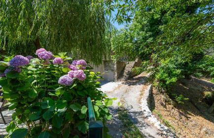 Μountain Whispers - Foto 31