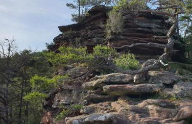 Ferienwohnung PfalzRide - Foto 10