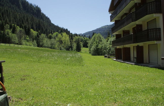 Appartement cosy avec terrasse pour 4 personnes et parking à Châtel - FR-1-198-88 - Foto 29