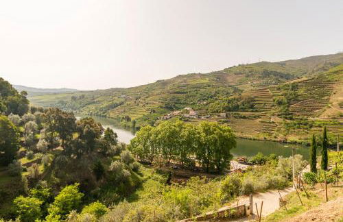 DouroParadise - Foto 44