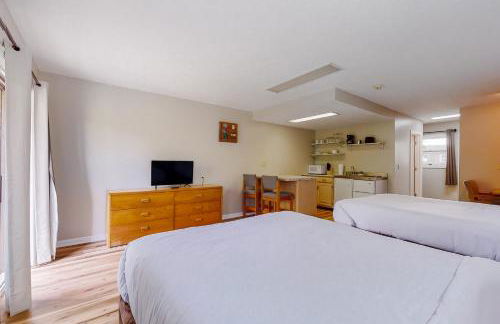 Near Douglas Lake 1st Floor Studio Dog Friendly - Foto 13