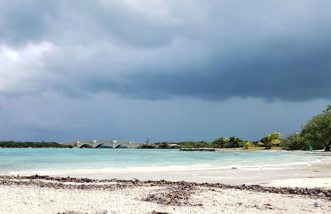 Ocean Mist Villa - Foto 42