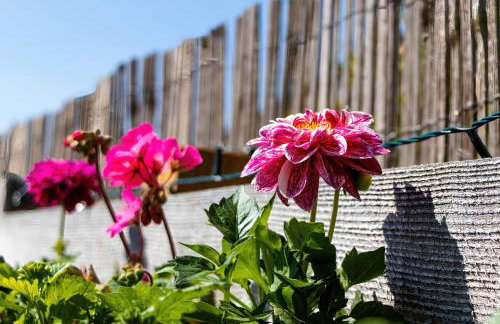 The Shire Luxury Converted Horse Lorry with private hot tub Cyfie Farm - Foto 9