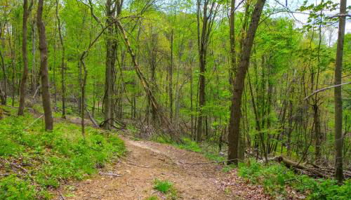 Cabin with Trail Access to Mohican River - Foto 2