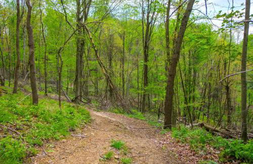 Cabin with Trail Access to Mohican River - Foto 2