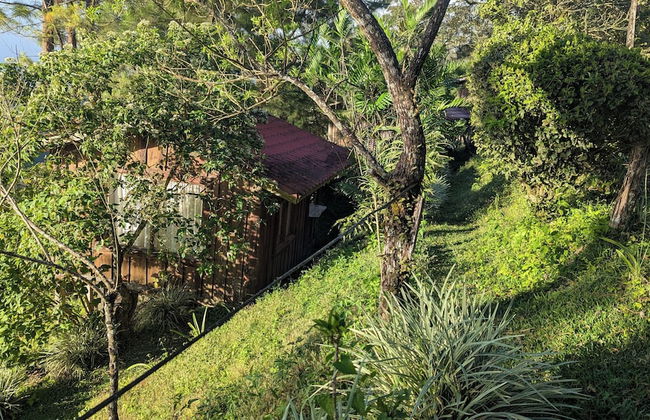 Campos de Oro Wilderness Lodge - Photo 19