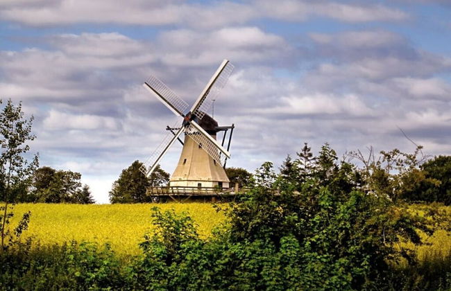 Liefde Voor de Schlei - Photo 32