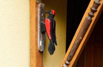 Guesthouse with 3 apartments, just outside Berlin, near to Tesla - Foto 53