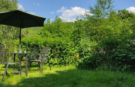 Gasthaus Piesau - Thüringer Wald - Rennsteig - Foto 34