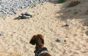 Cosy Cottage in a quaint village in North Devon. - Photo 22