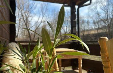 Bieszczady ClaraArt - Foto 49