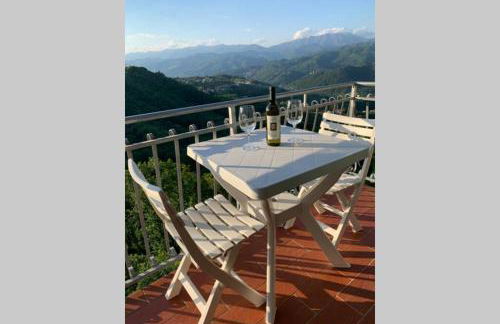 La Terrazza sulle Apuane - Foto 51