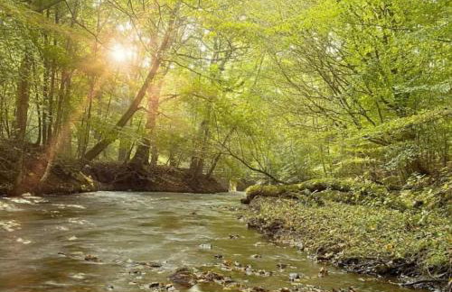 'Mill Cottage' Parbold - Foto 46