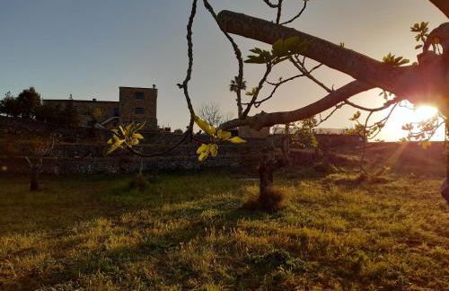 Agroturismo Ses Illes - Foto 158