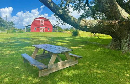 Tranquil Modern Farm Cabin - Foto 42