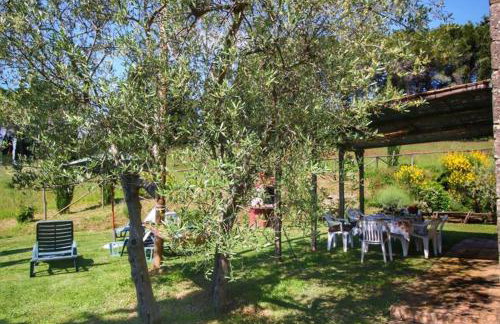 Bellavista farm of Quercini Maurizio - Foto 60