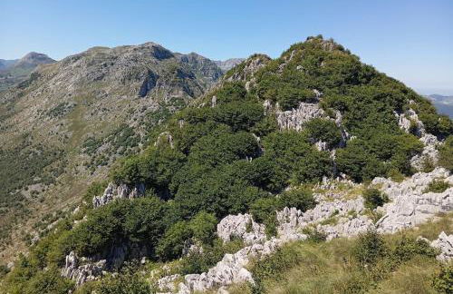 Familiar bajo con jardín en Gibaja - Foto 12