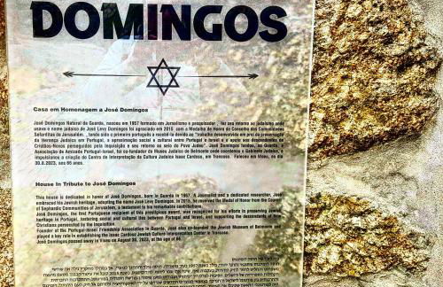 José Domingos - Foto 2