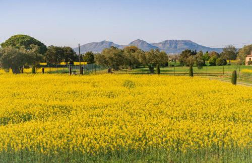 Masía Rural Can Poch - Foto 48