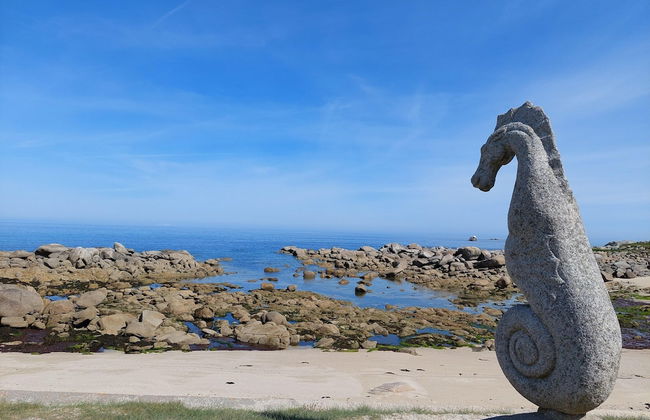 Holiday Home in Brittany With Sea View - Foto 16