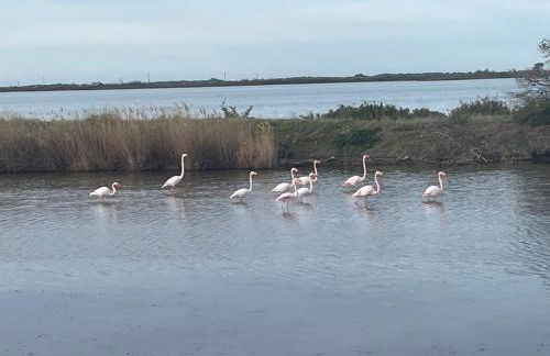 MARINA Belle vue avec appontement - Foto 43