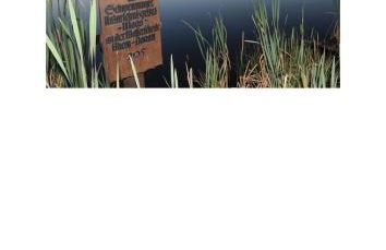 Haus Ketterer - Foto 19