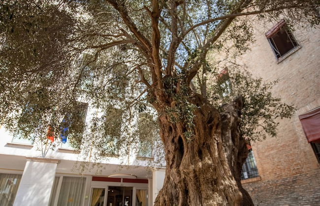 EGO' FERRARA RESIDENCE - Foto 39