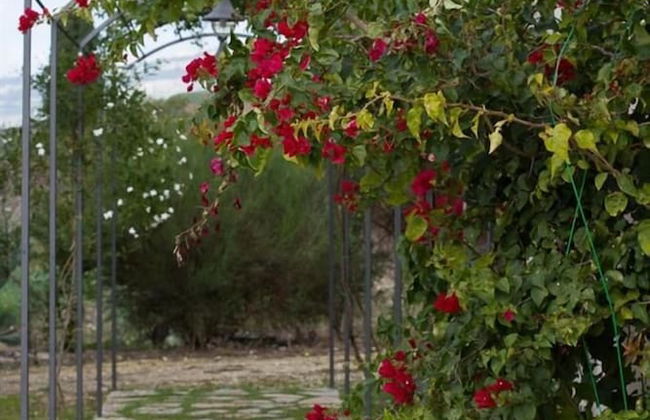 Agriturismo Baglio Donna Santa - Foto 41