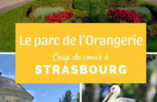 logement 3 pièces à 10 minutes du célèbre marché de Noël de Strasbourg - Foto 10