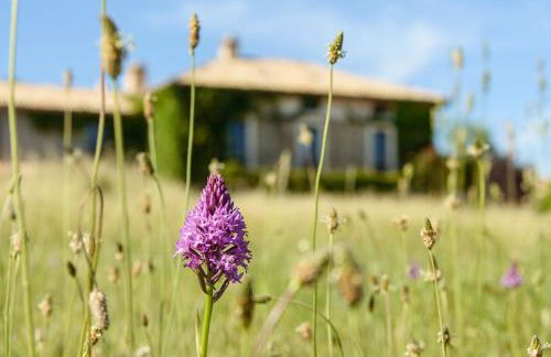 Casa Sarasa - Foto 21