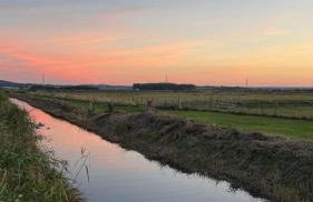 The Whitstable Healing Spot - Foto 41