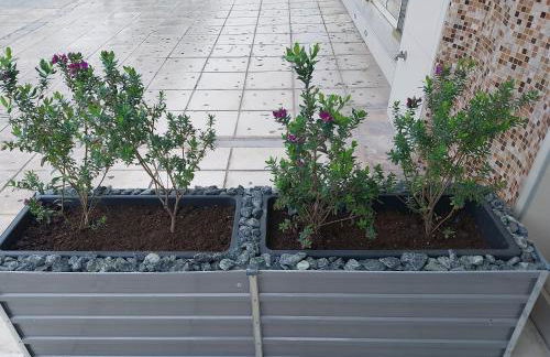 SWEET APPARTMENT - Foto 27