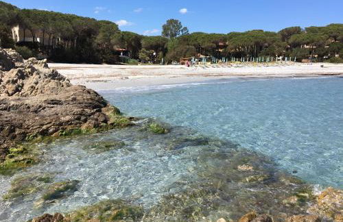 Sa Domo de Tzia Elene - Photo 18