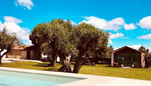 Casinhas da Póvoa- Turismo Natureza - Foto 2